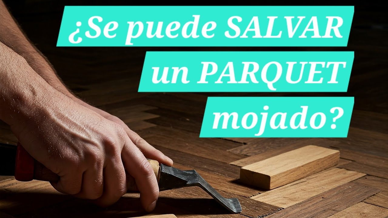Todo el Paso a paso de Reparacion de Parquet de una Avería con Agua #parquet #shortsviral