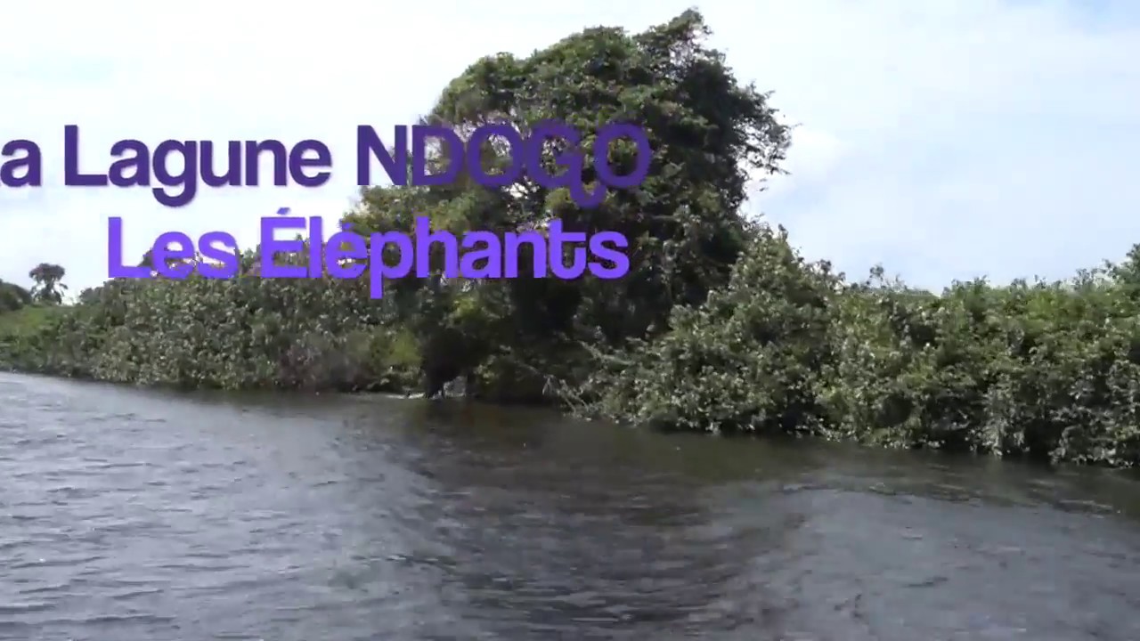 Découverte du GABON Profond : La Traversee du Parc de LOANGO 3 b 1280x720 Partie 1