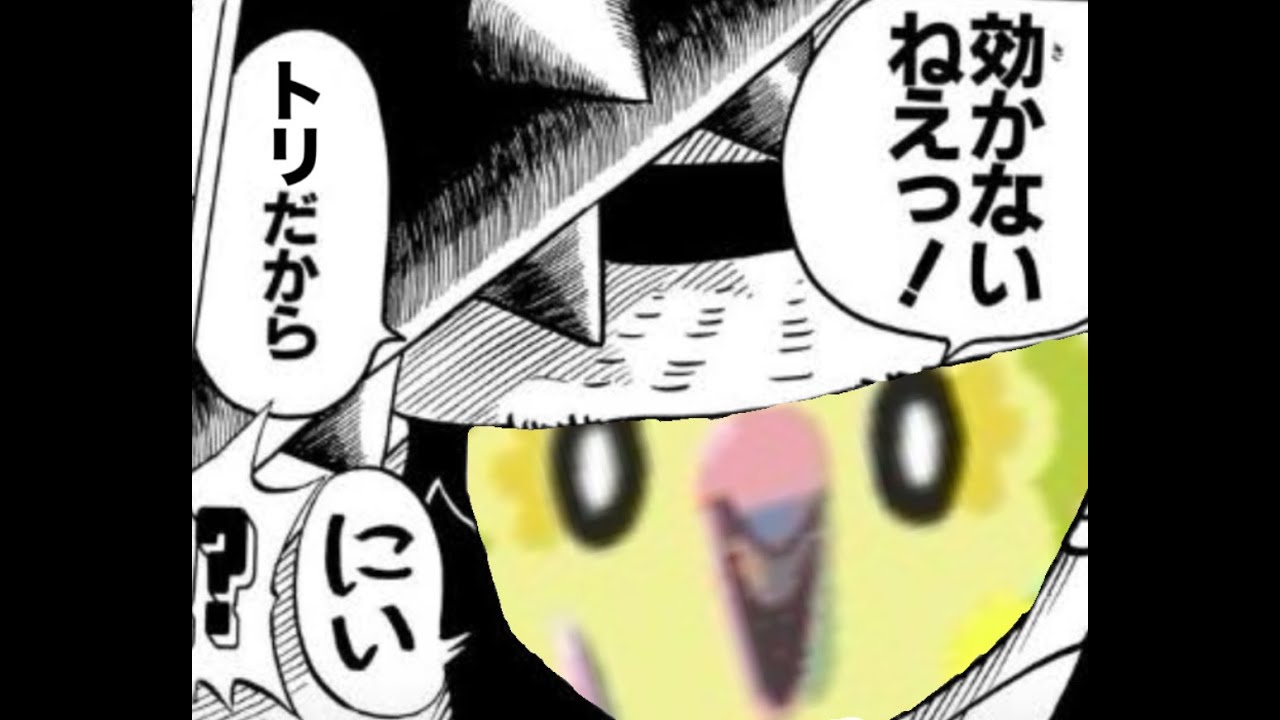 【生配信】幸せを運ぶ黄色い鳥でマスボ行く【ポケポケ】