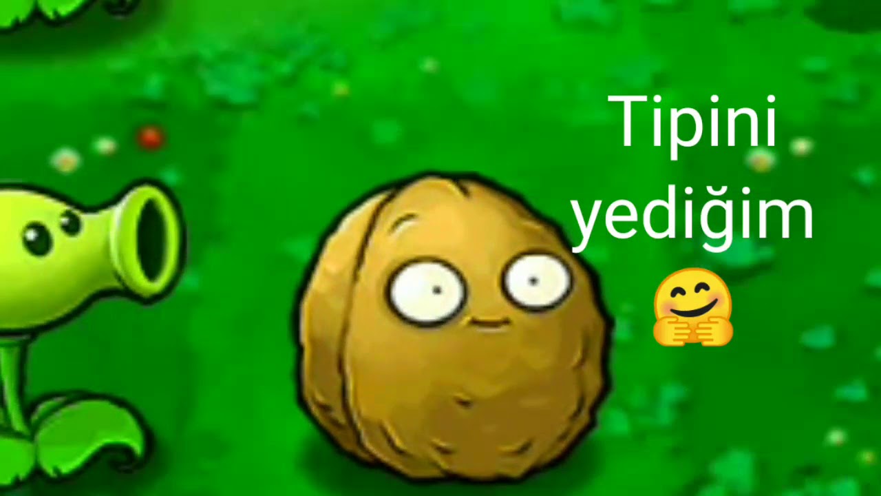 Bitkiler Zombilere Karşı(Plants VS Zombies)(TÜRKÇE OYNANIŞ)