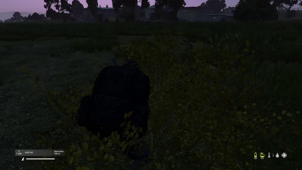 DAYZ LIVE