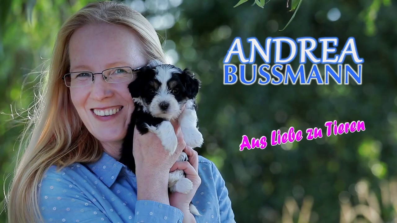 Bolonka Zwetna   WORAUF ACHTEN BEIM WELPENKAUF   ANDREA BUSSMANN   Folge 01
