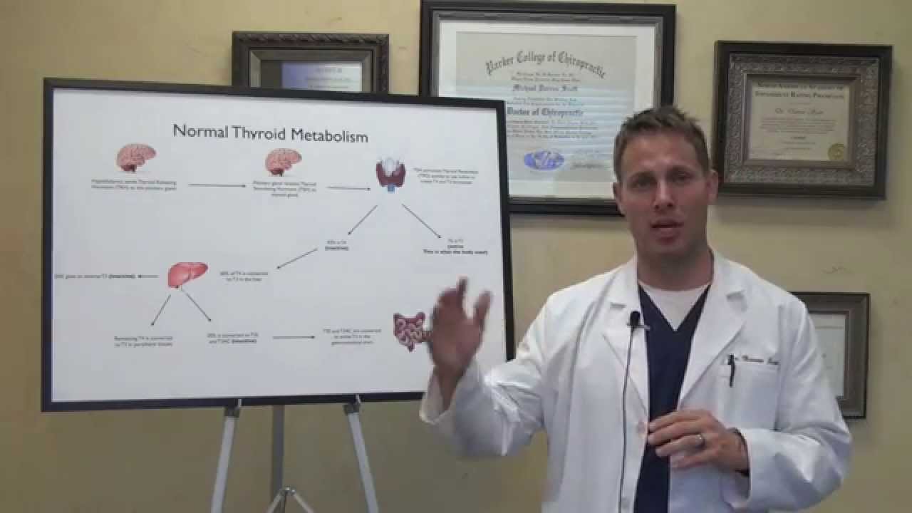 Thyroid Metabolism