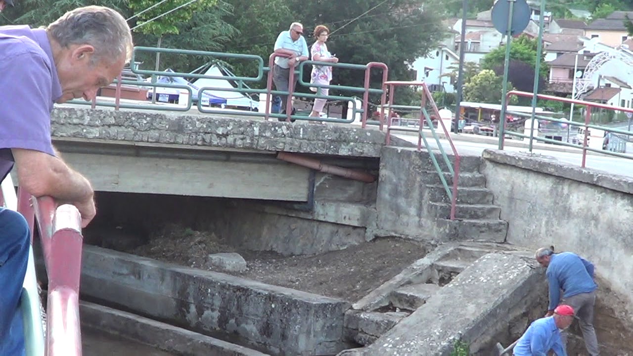 Oche tolosa