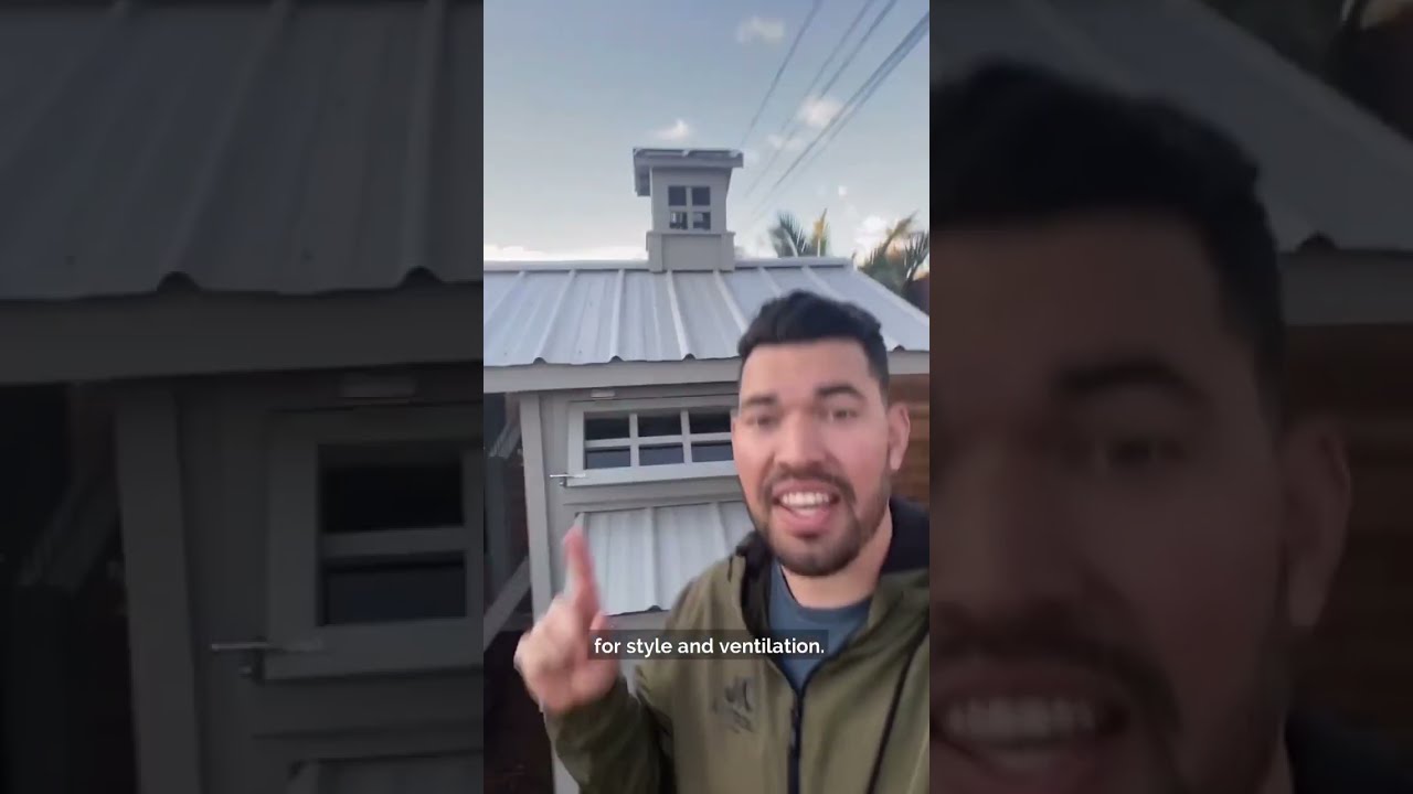 Я построил самый безумный курятник...