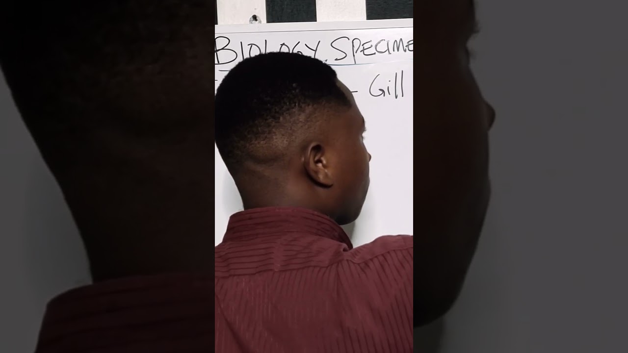 2024 WAEC Biology practical. please SUBSCRIBE for notifications on new videos. #education