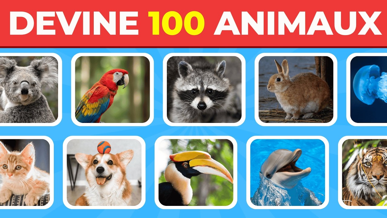 DÉFI: Devine 100 animaux en 3 secondes🐶🐱🐰 | Facile, Moyen, Difficile | Lecoq Quiz
