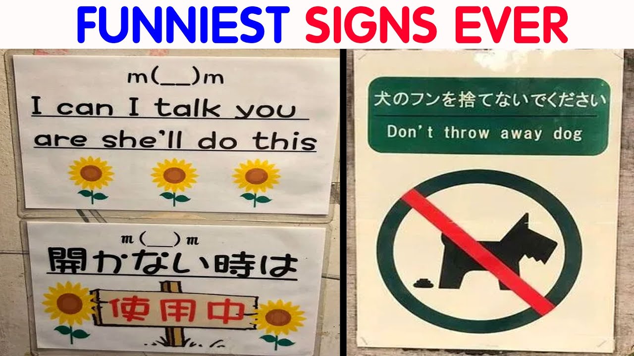 Absolutely Dumb Signs For Those In Need Of A Good Laugh || video compilation #53