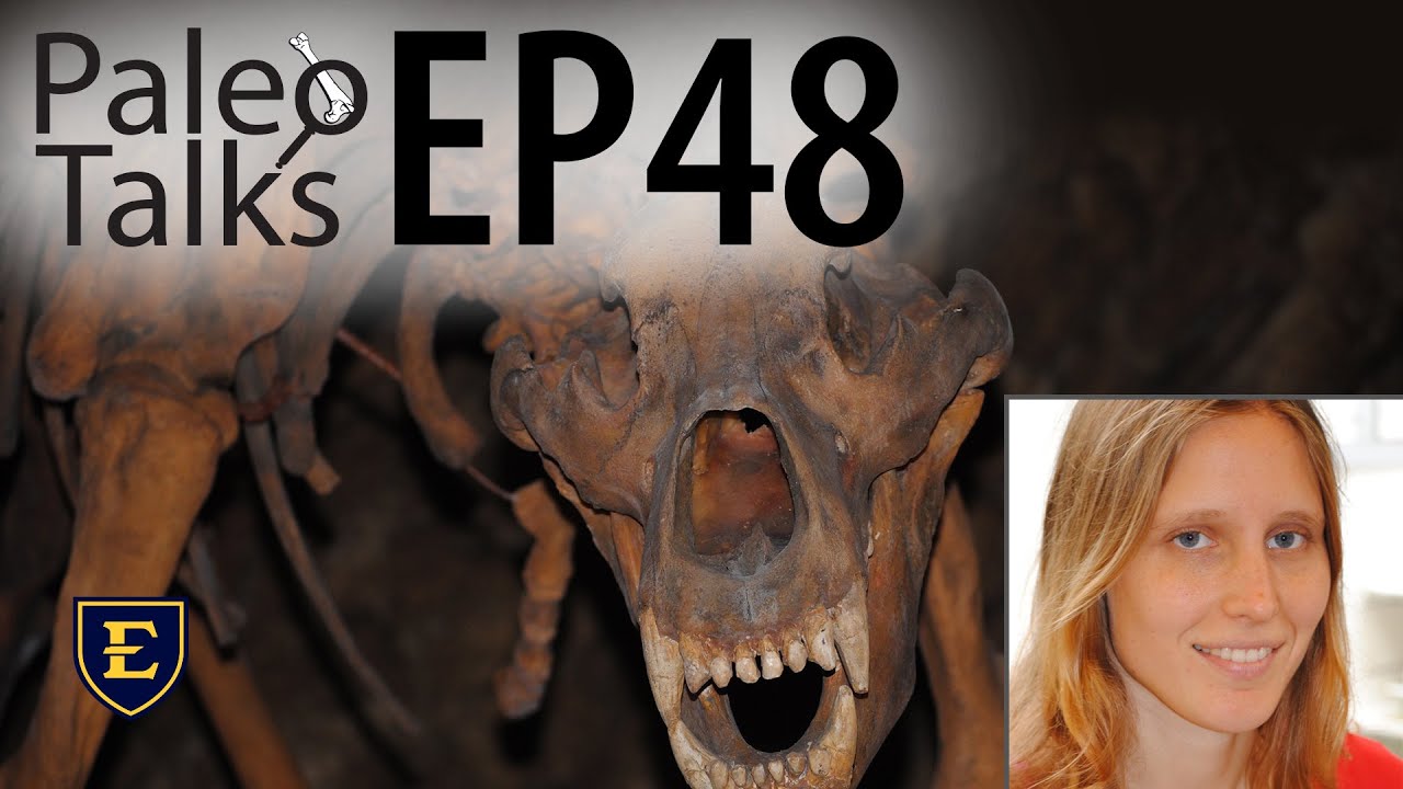 Cave Bears, The Great Vegetarians of the Ice Age [Paleo Talks EP48]