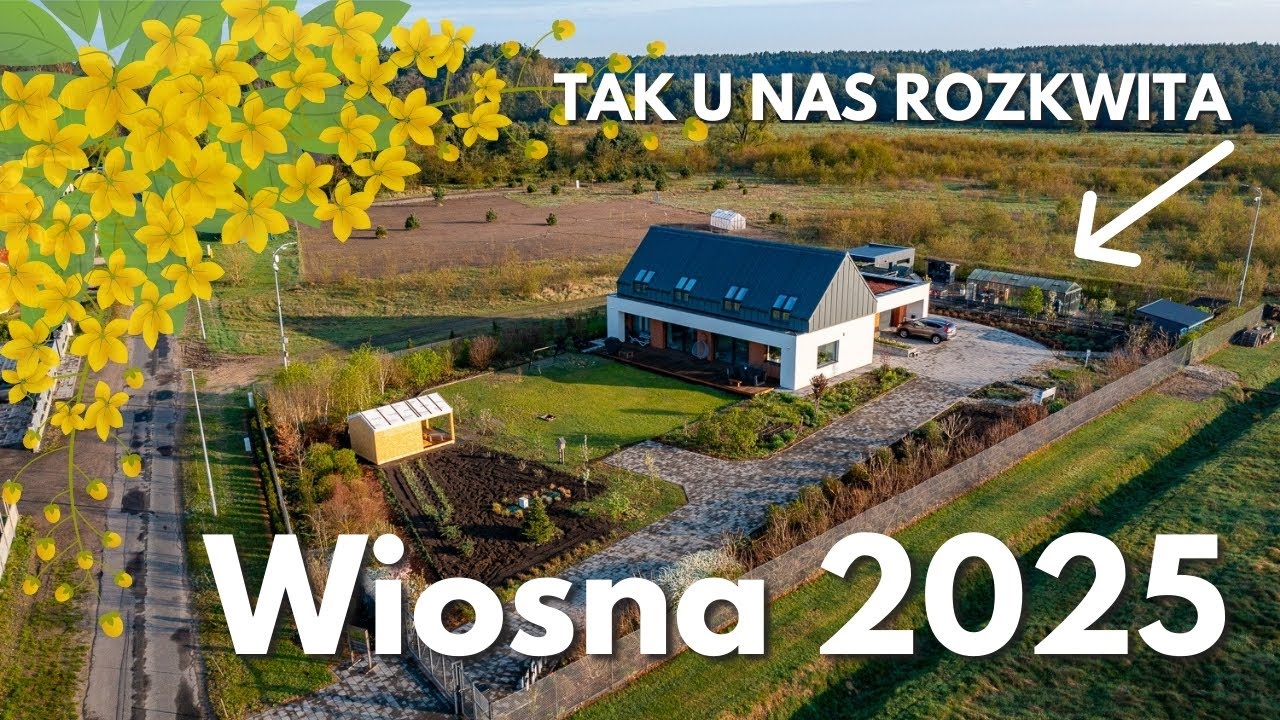 Wiosna 2025 &ndash; tak u nas rozkwita! 🌸🐝