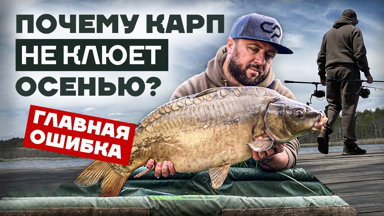 Все СЕКРЕТЫ и ОШИБКИ ловли КАРПА осенью! Основы КАРПФИШИНГА: погода, тактика, прикормка, монтажи...
