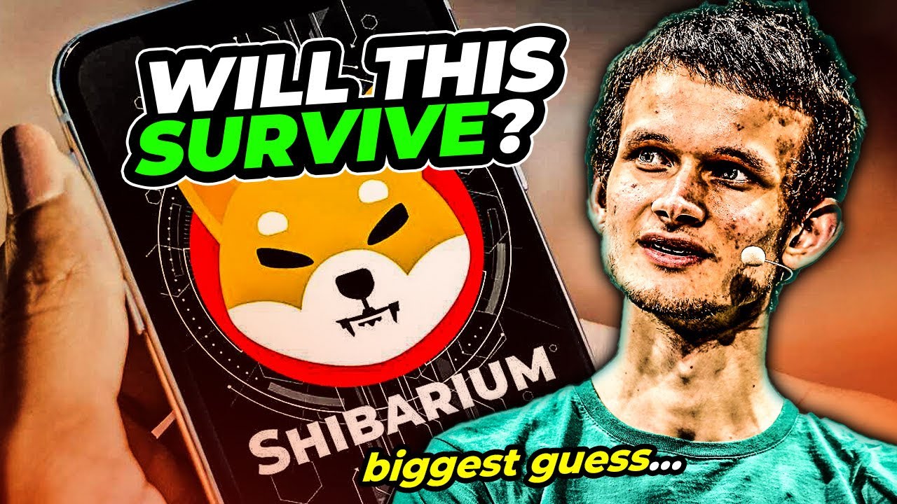 Shibarium Beta Launch: What Will Happen to Your Shiba Inu Coins?