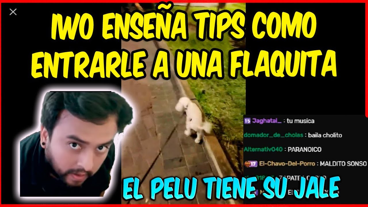 😮IWO ENSEÑA COMO HACERLE EL HABLA A UNA FLAQUITA🤣LOS TIPS DE CHOLIWO😂