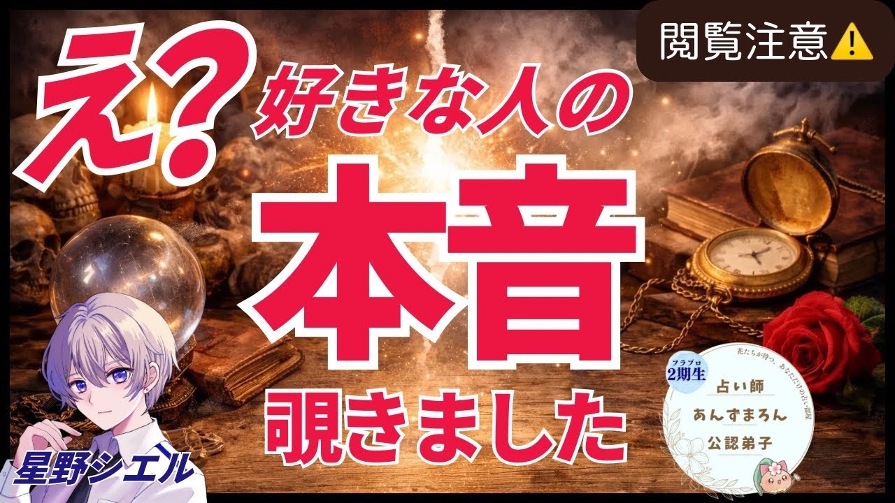 【💥衝撃の結果あり】好きな人の本音がやばい。本当の気持ちをお伝えします。ほんのり辛口【タロット×ルノルマン】