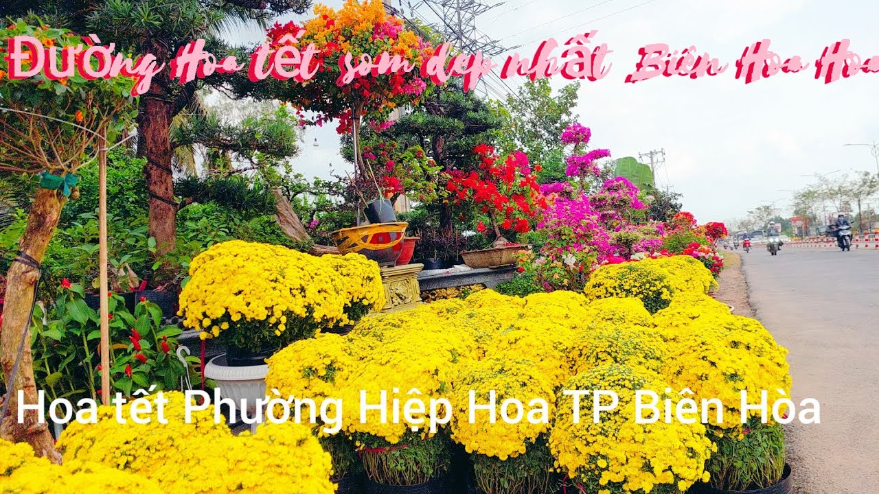Không  khí  tết sơm tràn ngập về đẹp  nhất  của TP  Biên Hòa  Đồng Nai  mới  hót nhất 