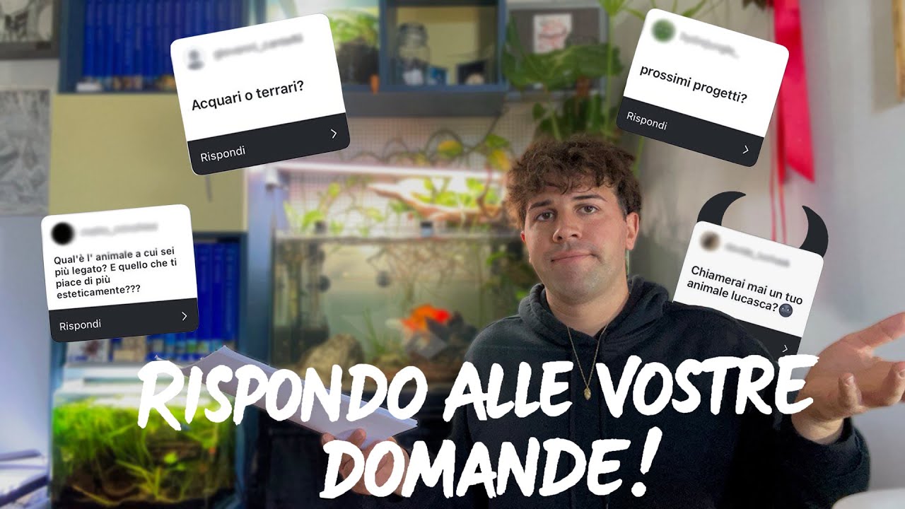 La ROUTINE con i miei ANIMALI + Q&A (SPECIALE  500 ISCRITTI)