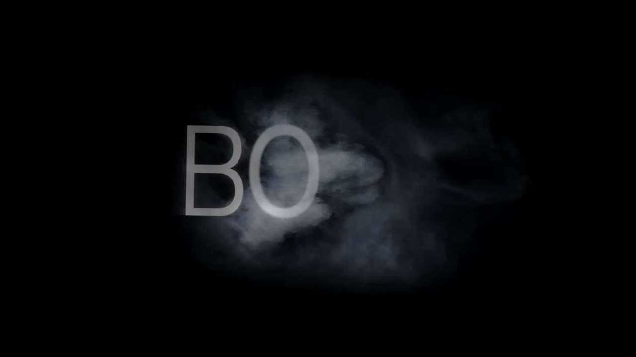 Netflix AD Logos #41 The Weinstein Company and Bold Films