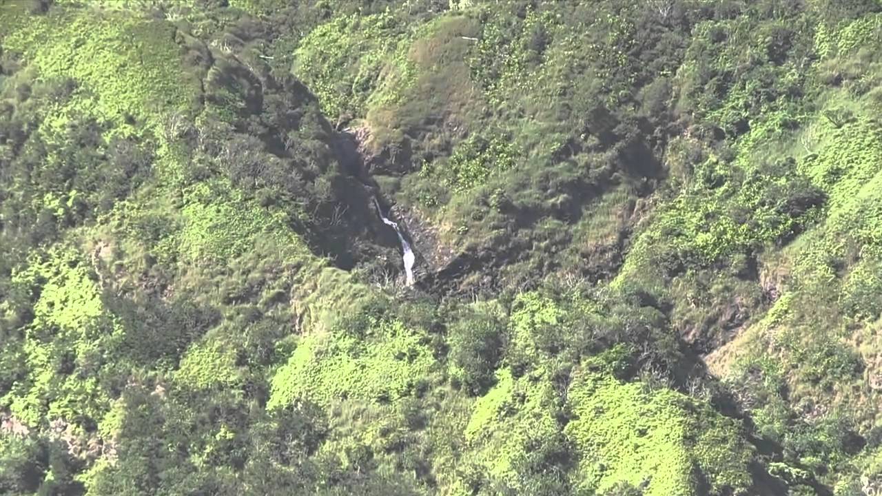 DLNR DIVISION OF FORESTRY AND WILDLIFE DOFAW HD
