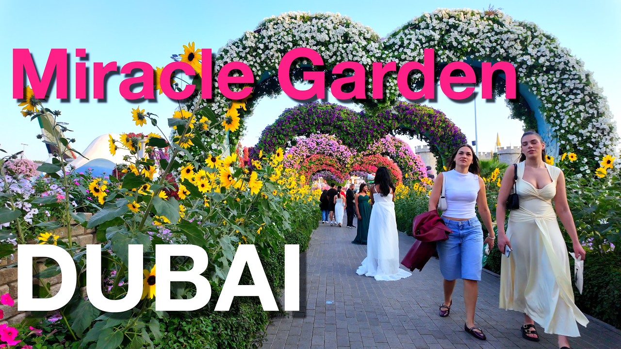 Dubai  Miracle Garden Tour 4K | World’s Largest Natural Flower Garden | Dubai UAE | Walking Videos
