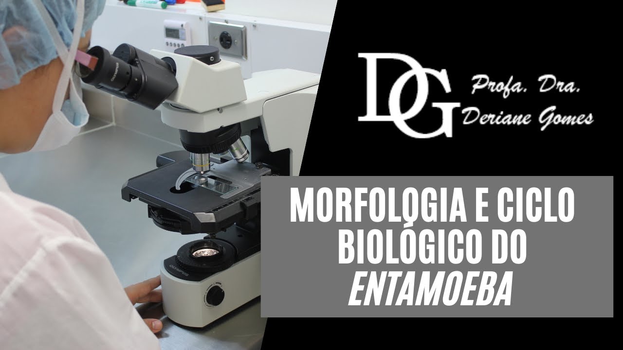 047. Morfologia e Ciclo Biológico da Entamoeba