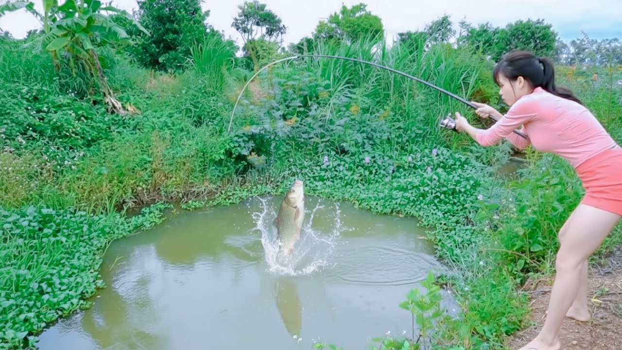 Best Hook Fishing Video, Girl's Giant Catfish Fishing Skills - Hana Fishing