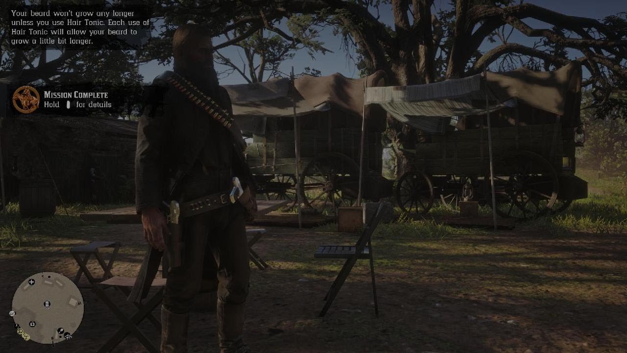 Red Dead Redemption 2 ig