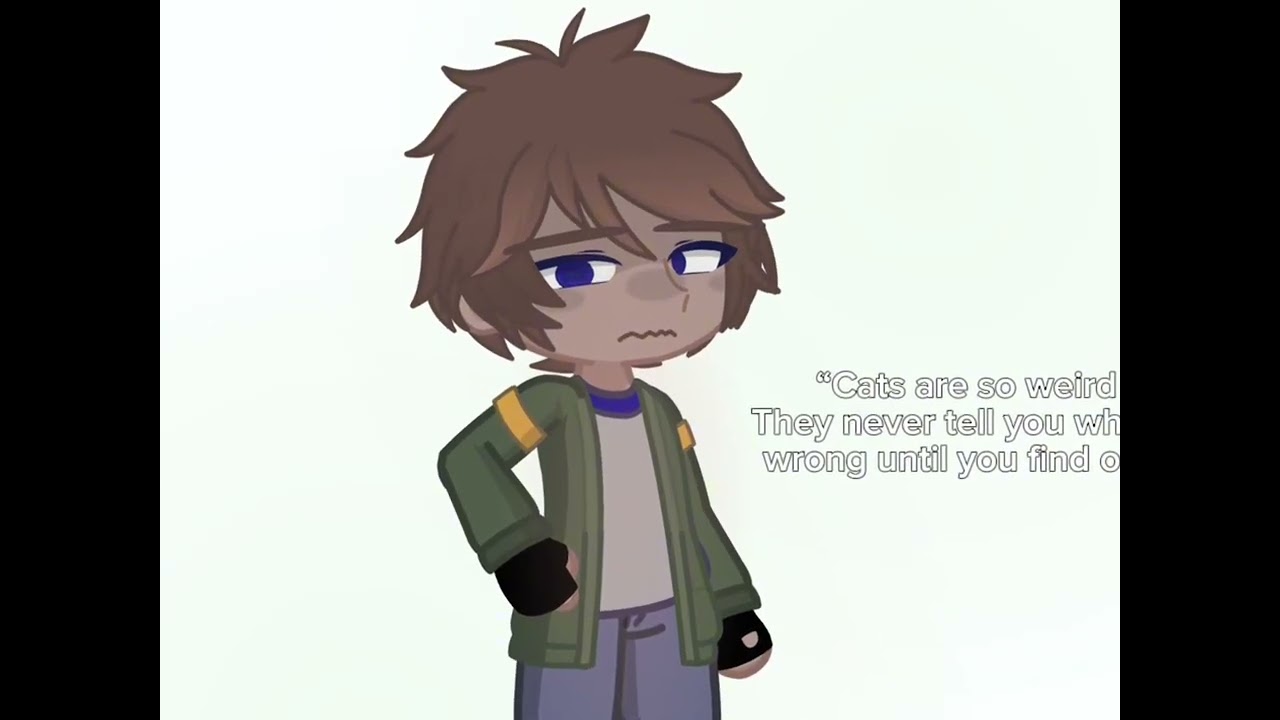 &ldquo;Cats are so weird&rdquo; ||Voltron|| -Lance Angst- {Langst}