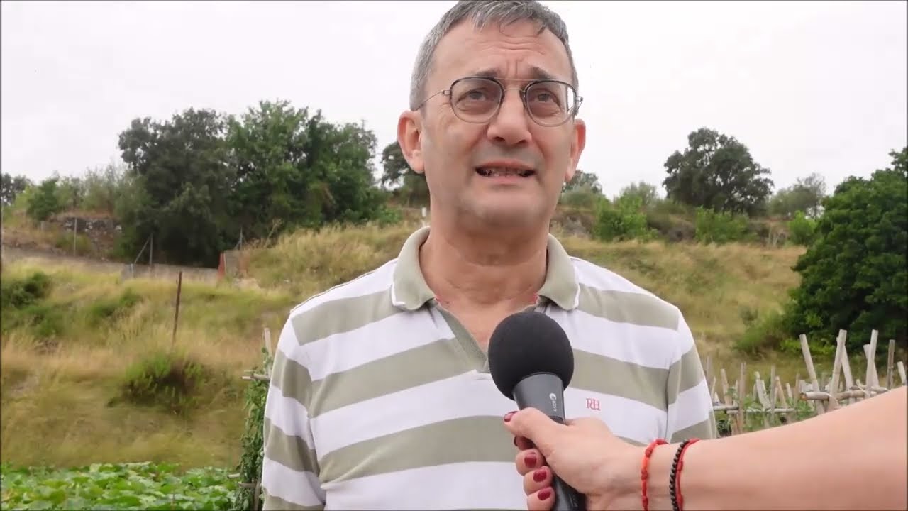 Catàleg de Tomaques de la Vall d`Albaida