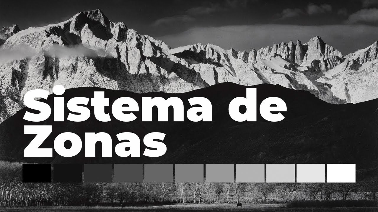 SISTEMA DE ZONAS: Exposición y Contraste