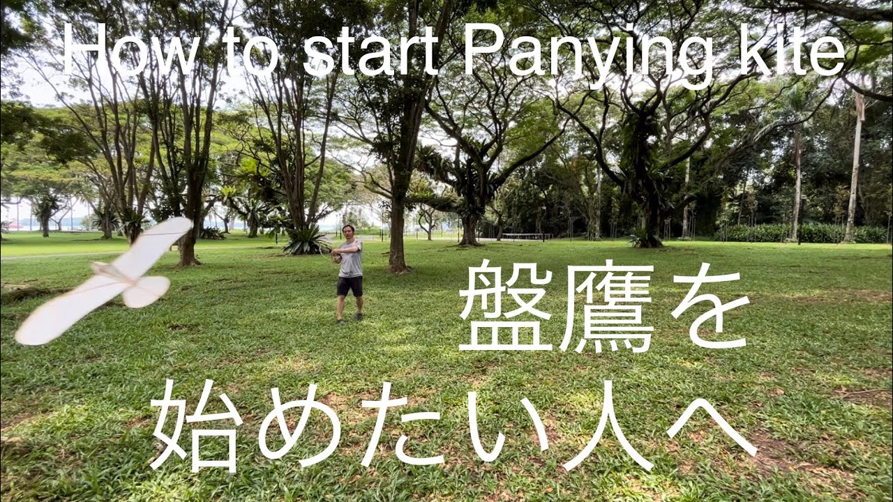 (1)盤鷹を飛ばしたい方へ 鳥凧／パンイン