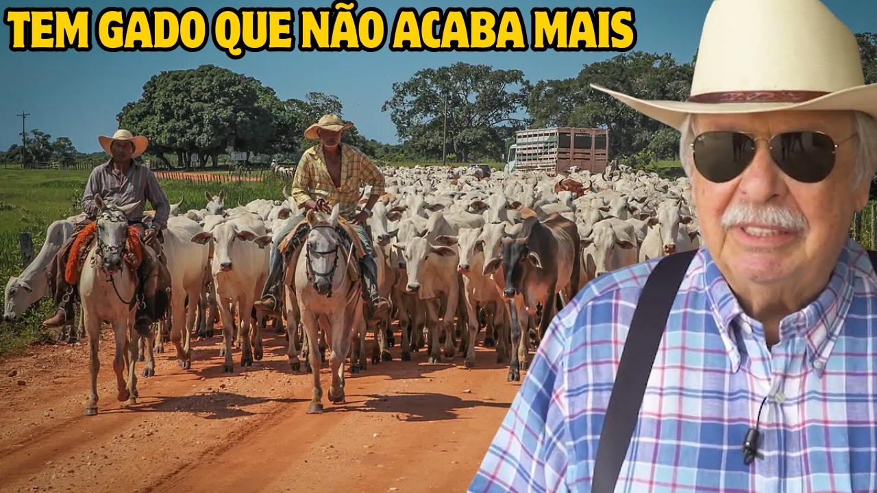 Rei do Gado Brasileiro: A Vida Bilionária de Roque Quagliato, o Mais Rico do Mundo