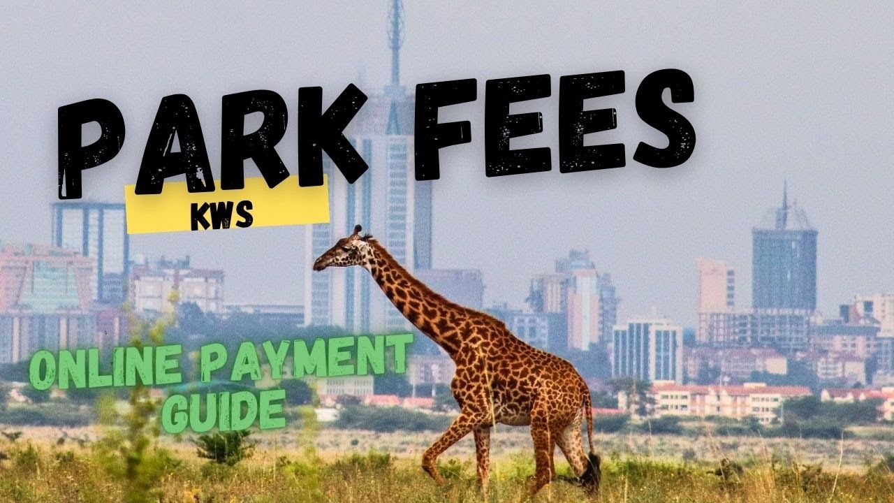 The Ultimate Guide to Paying Kenyan National Park Fees Online