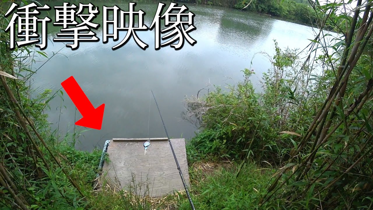 この板の下が、ヤバすぎる・・・