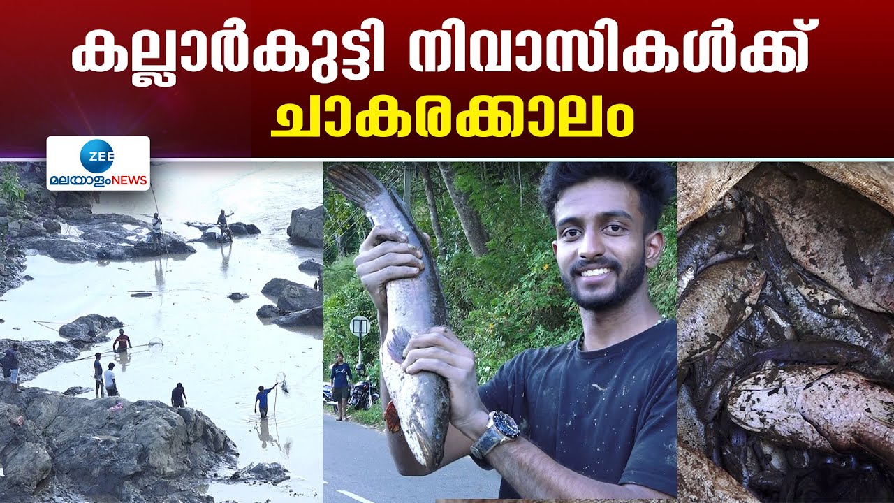 Kallarkutty | കല്ലാര്‍കുട്ടി അണക്കെട്ട് വറ്റിച്ചതോടെ പ്രദേശത്ത്  മീന്‍പിടുത്തം തകൃതിയായി നടക്കുകയാണ്