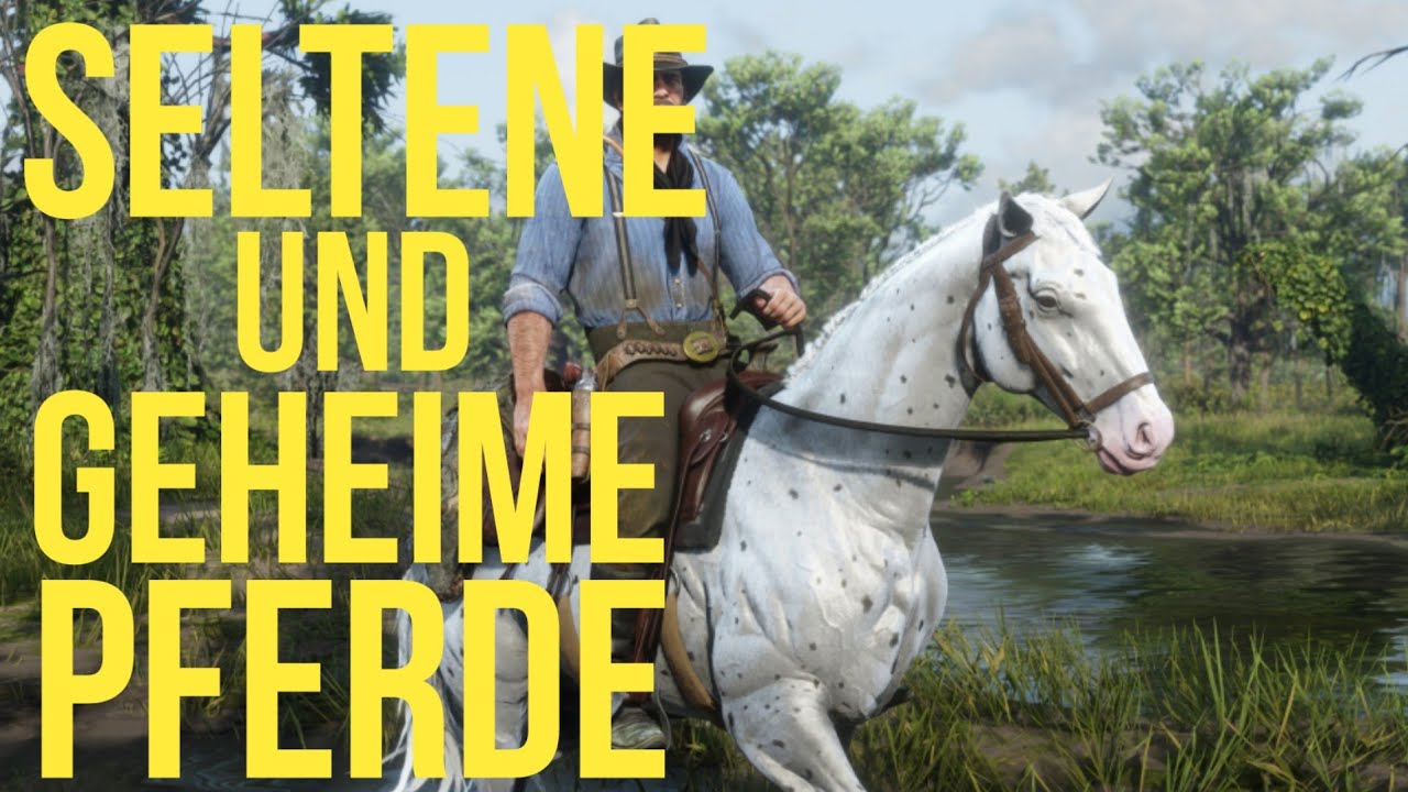 Red Dead Redemption 2|Extrem Seltene und Geheime Pferde!!!!|Fundorte/Pferde Guide