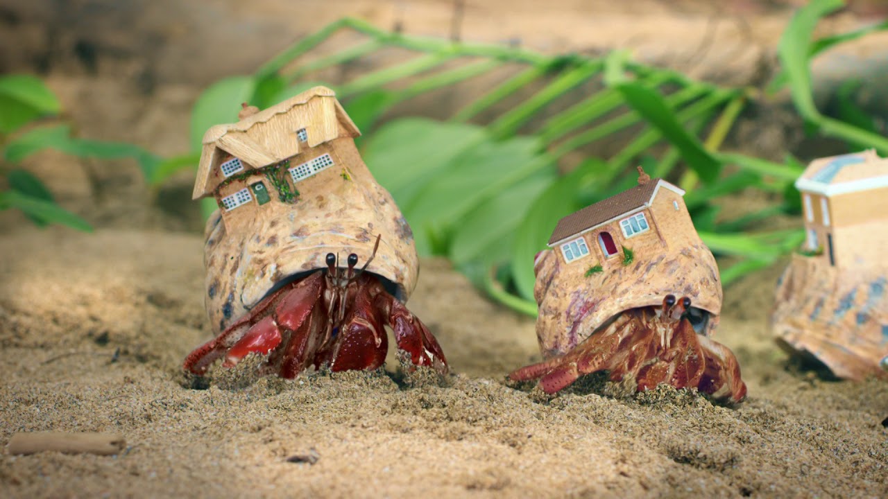 Zoopla TV advert - Crab World