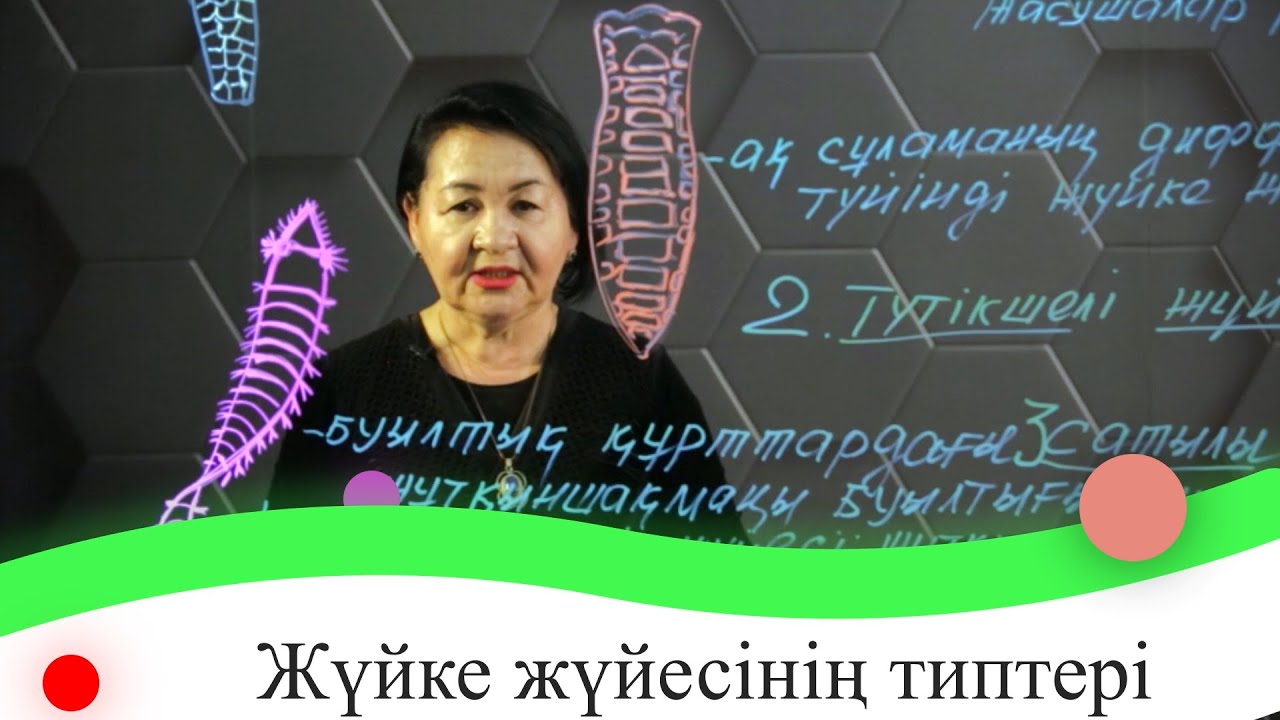 Жүйке жүйесінің типтері. 7 сынып.