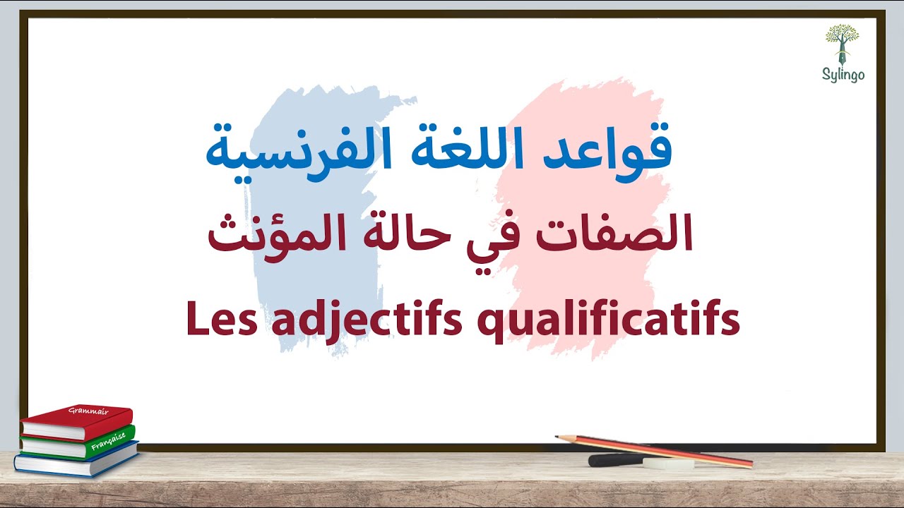 Grammaire fran&ccedil;aise - Les adjectifs qualificatifs 2- قواعد اللغة الفرنسية - الصفات في حالة المؤنث