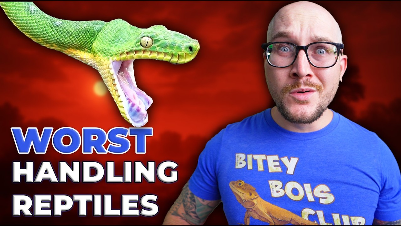 The Least Handleable Pet Reptiles