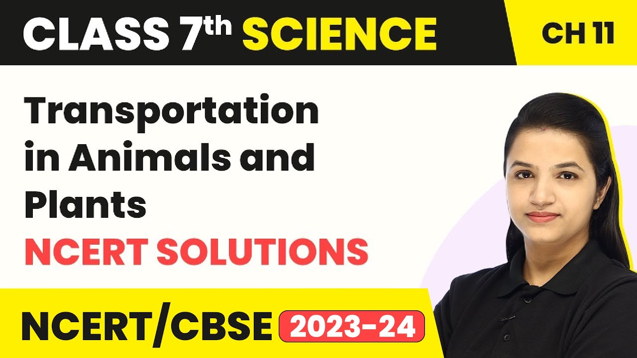 Class 7 Science Chapter 11 | Transportation in Animals and Plants - NCERT Solutions