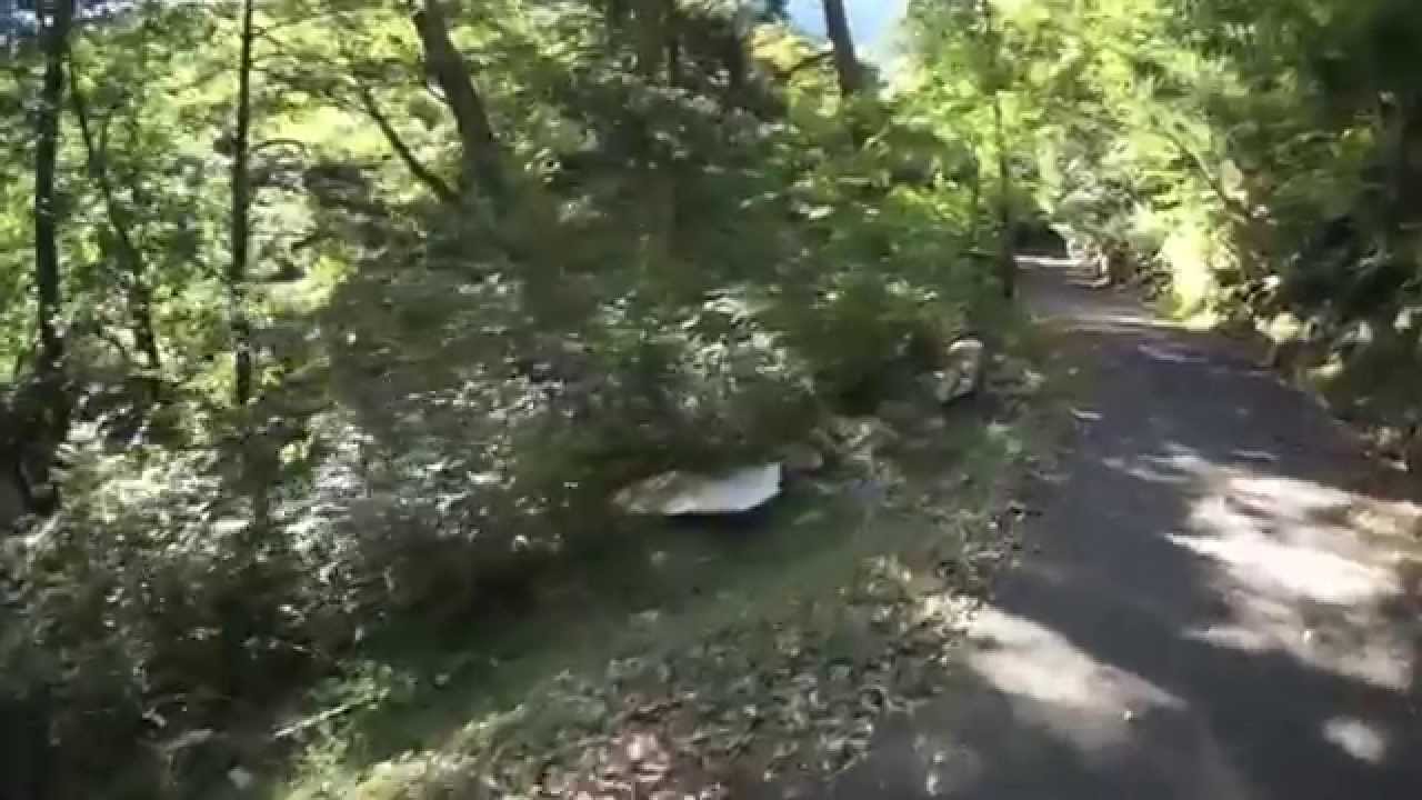 鉄砲石川キャンプ場