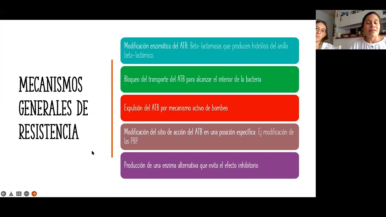 Antibioticoterapia