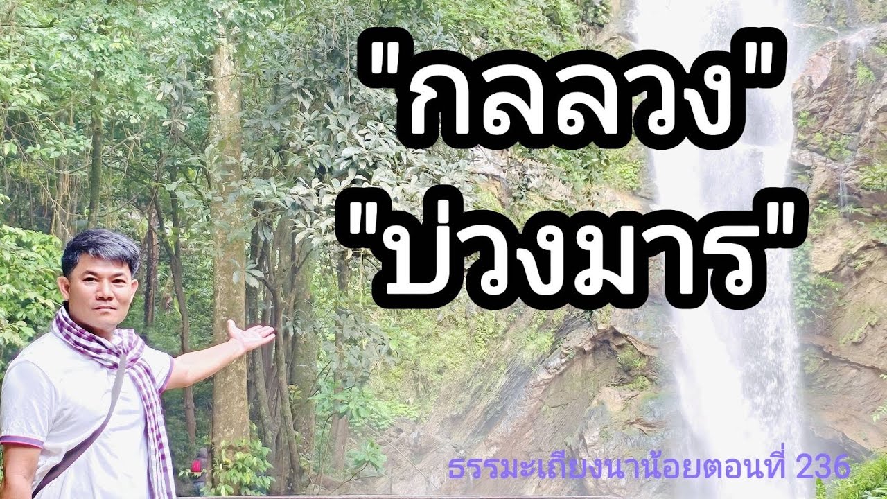 กลลวงบ่วงมาร ธรรมะเถียงนาน้อยตอนที่236 #ธรรมมะ #สมาธิ #buddha #meditation 