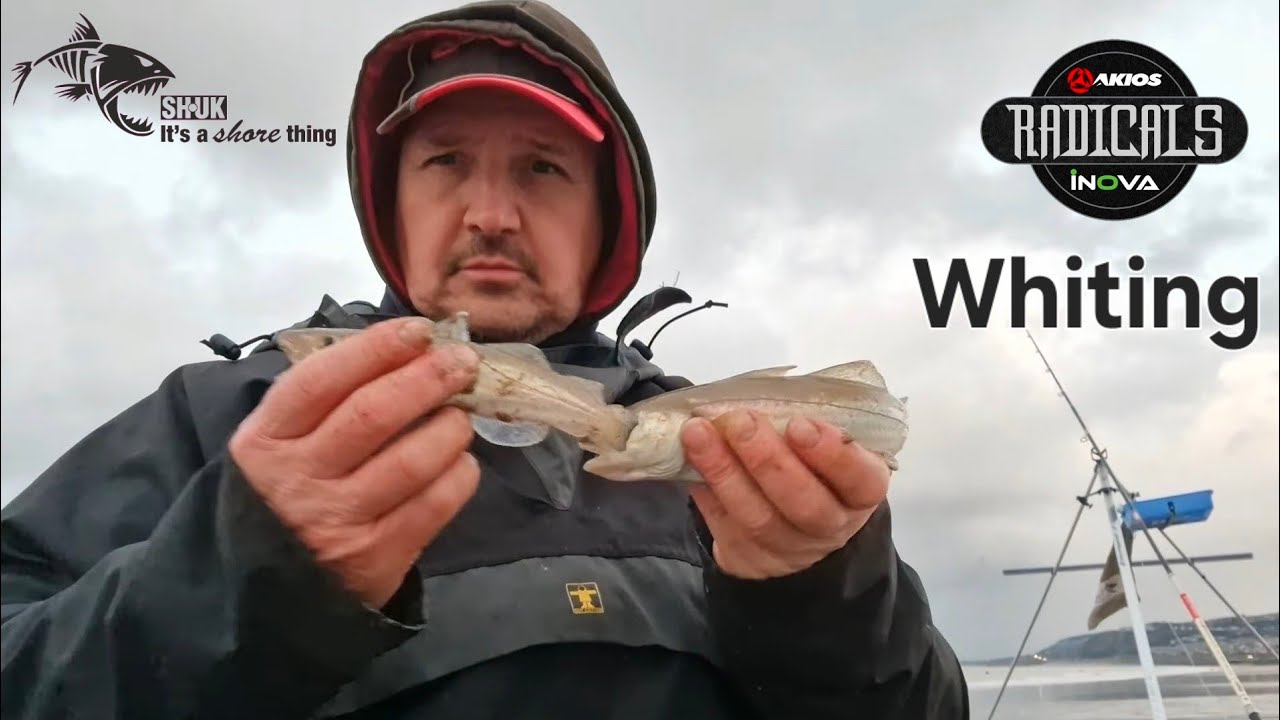 Shore Huggers UK Whiting 