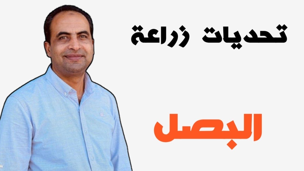 مشاكل وحلول زراعة وإنتاج البصل من قلب المزرعة