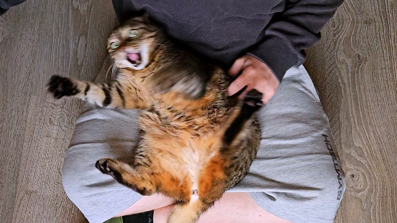 How dare you use both hands?!