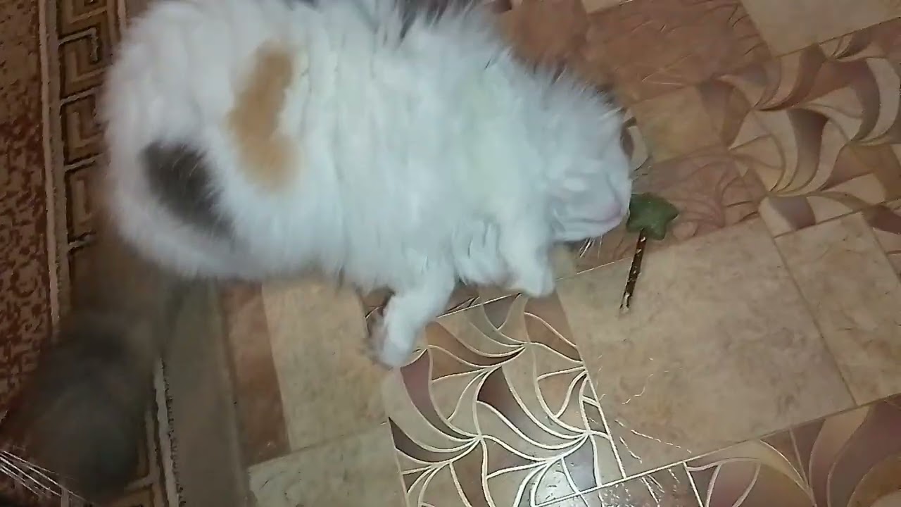 МАЛЕНЬКАЯ ЗАКУПОЧКА🥰🙀!ЗАПАХЛО ВЕСНОЙ!💐
