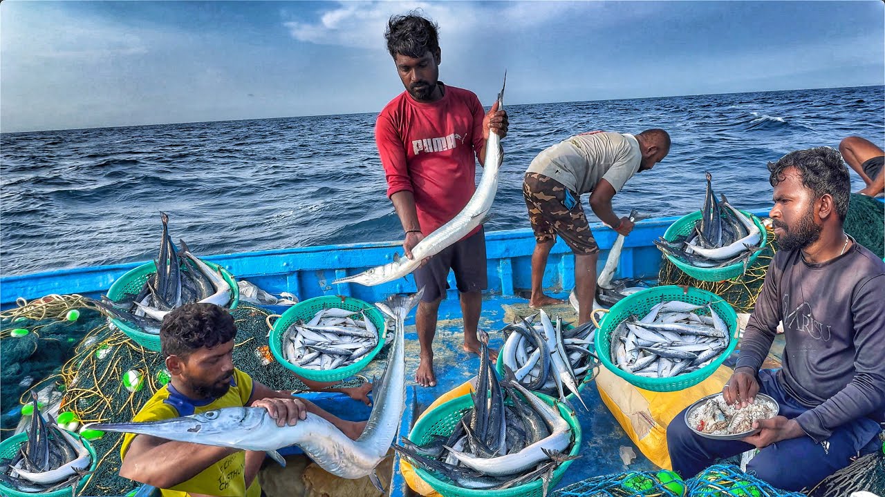 Awesome‼️ The Second Day: Massive Catch in the Middle of the Ocean💢‼️