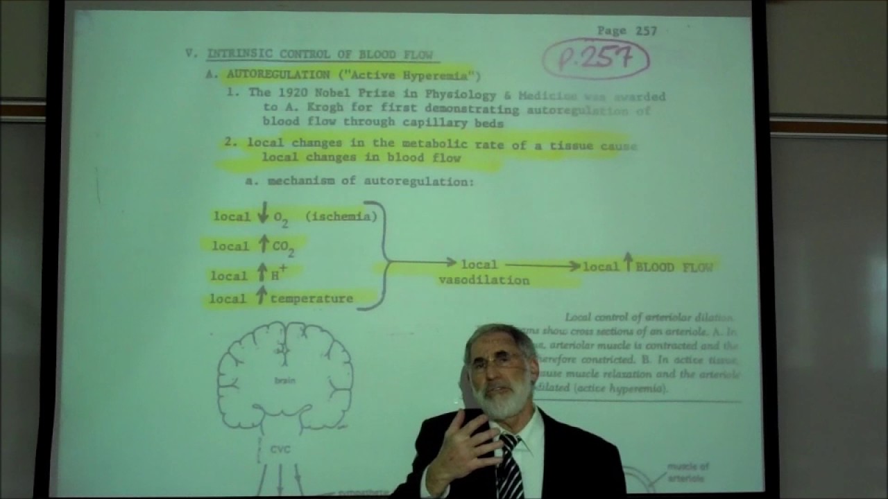 AUTOREGULATION & Other Factors Affecting Blood Flow by Professor Fink