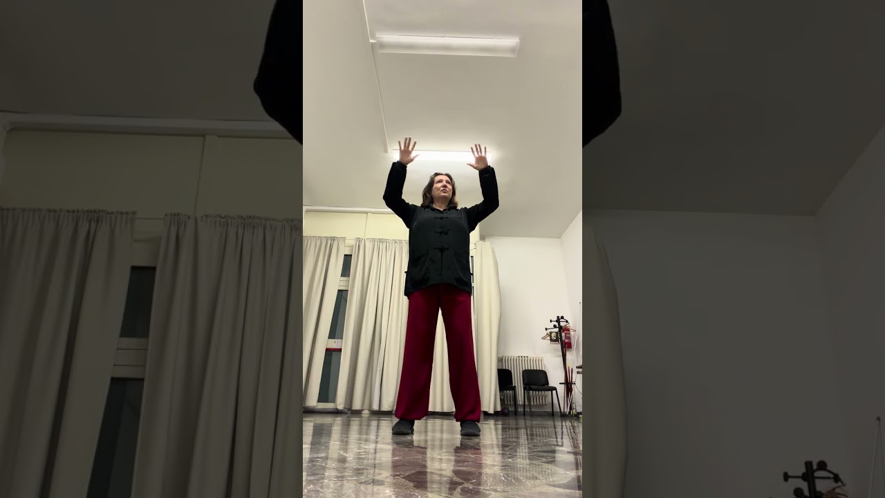 Pratiche energetiche taoiste - DEMO 1